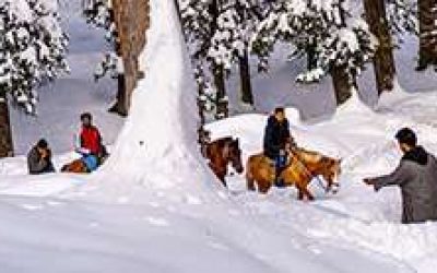 horse-riding-in-kashmir